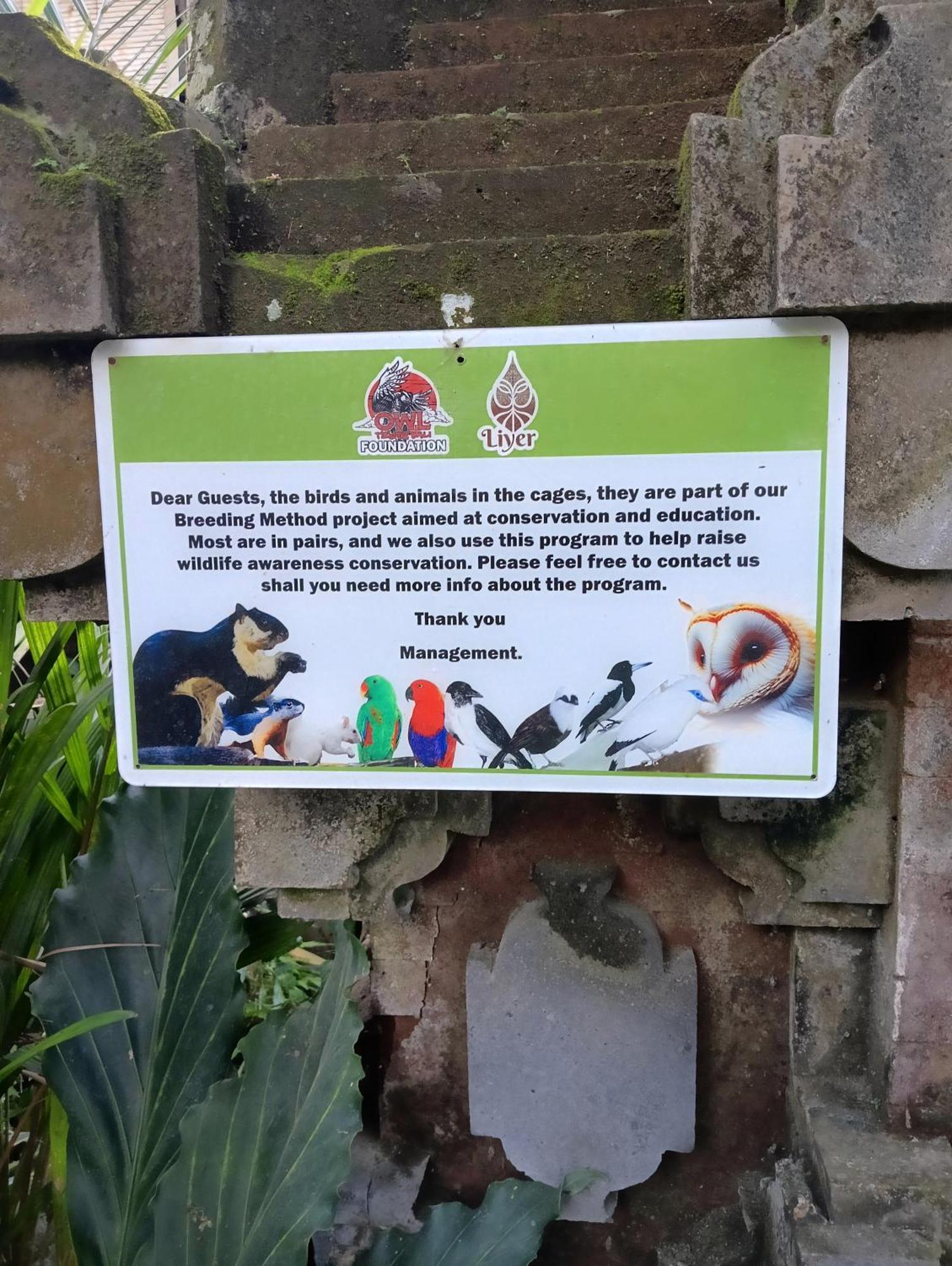 Отель Liyer Spirit House Убуд Экстерьер фото